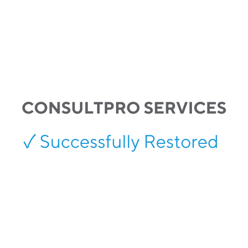 ConsultPro Services