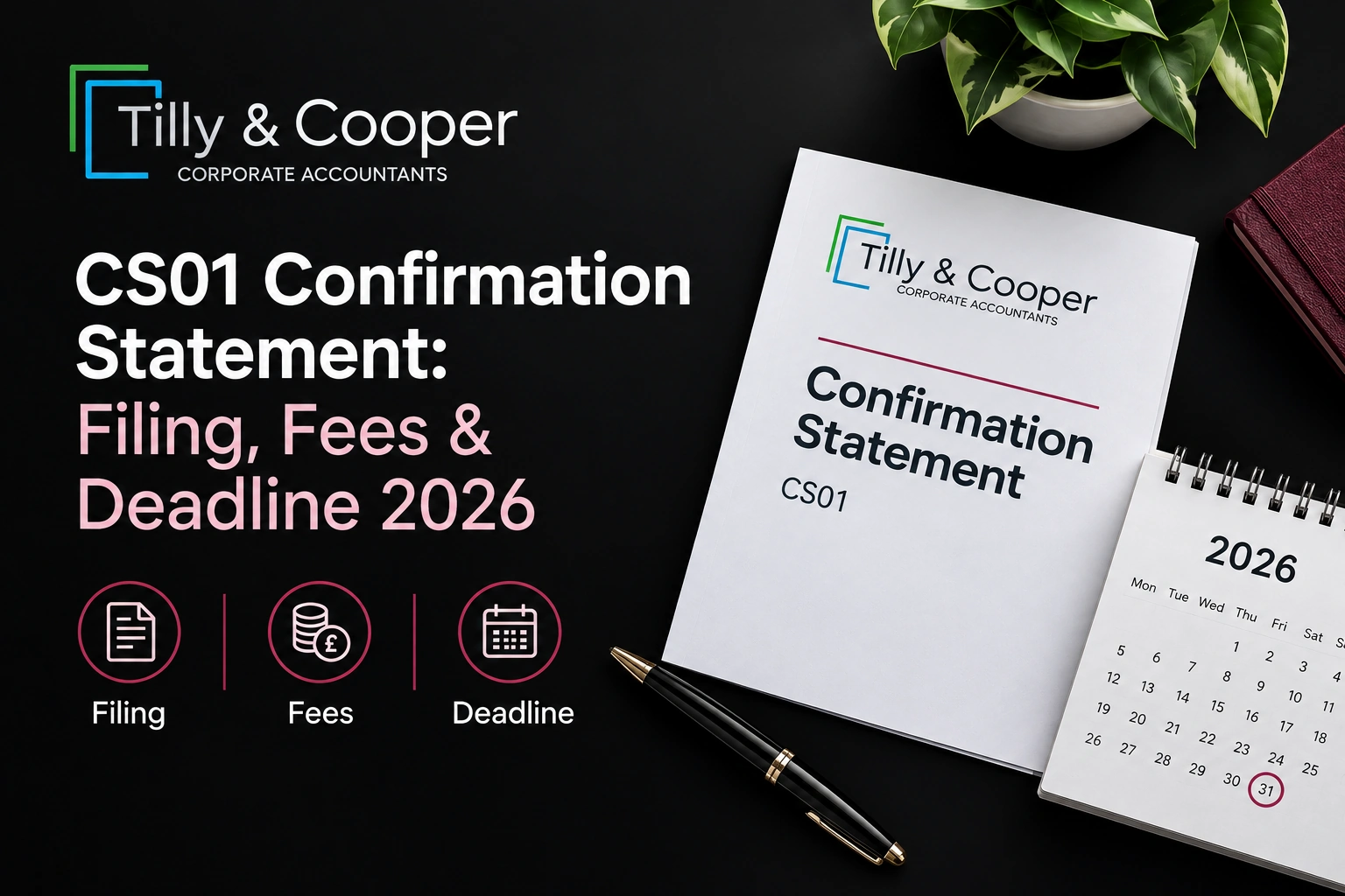 CS01 Confirmation Statement: How to File, Deadline, Fees and Requirements