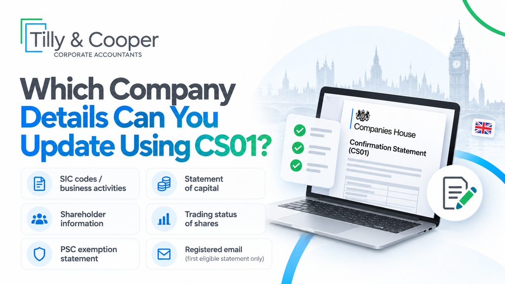 Which Company Details Can You Update Using CS01?